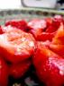 544684_red_delight.jpg