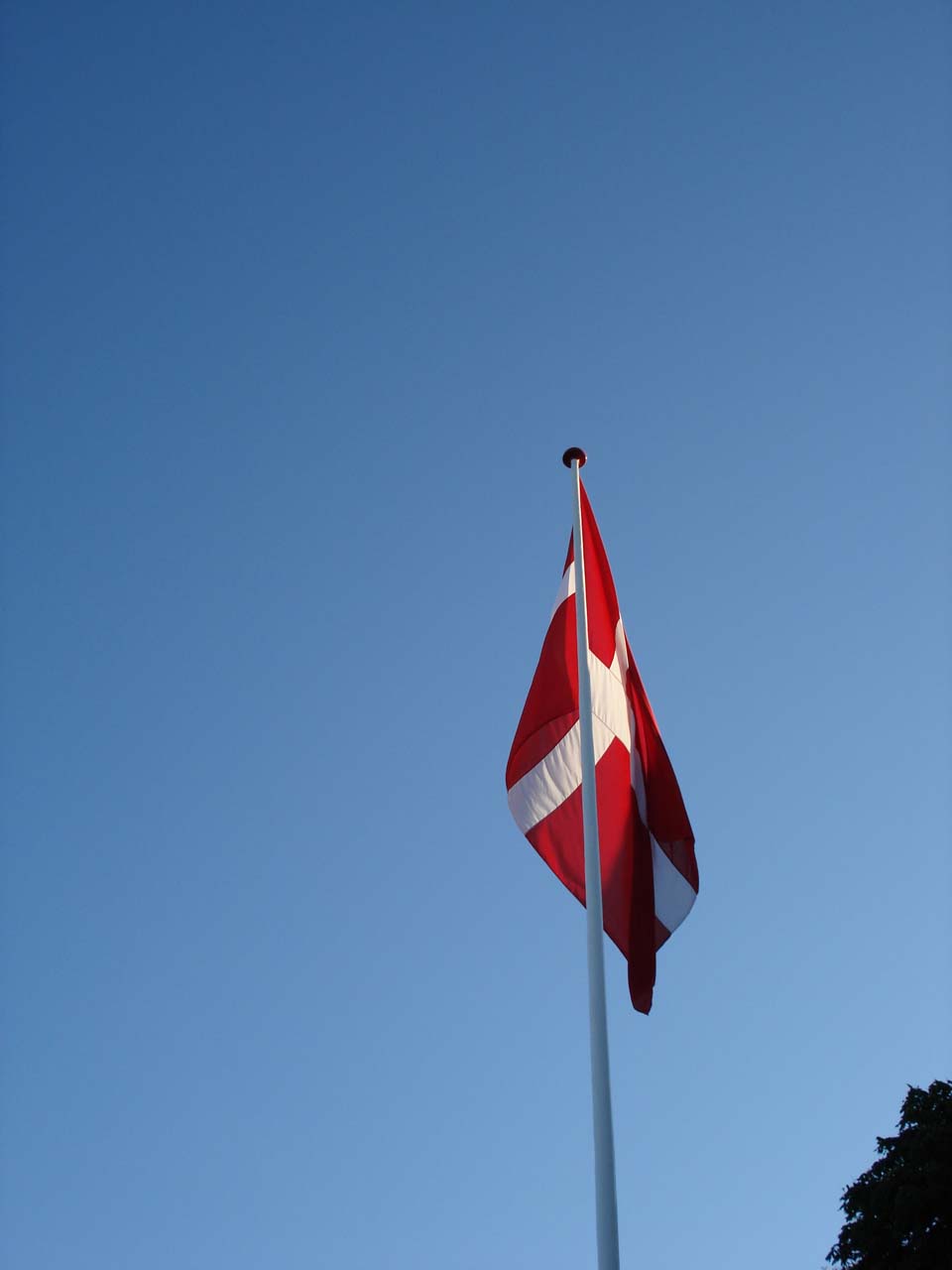 Sommerfest1.jpg