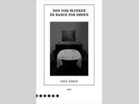 den_som_blinker_cover1.jpg