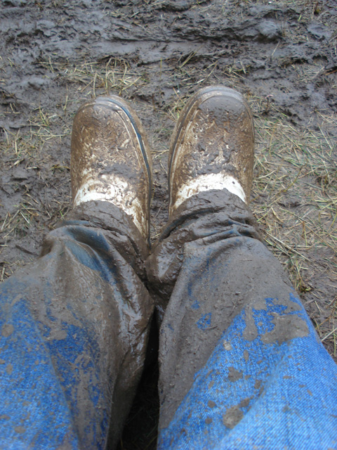 roskilde071.jpg